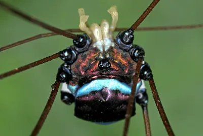 gagr 01