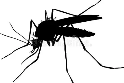 פאזל של dengue