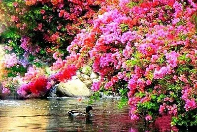 flores