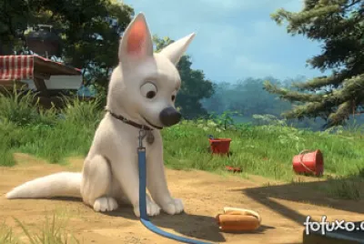 Bolt