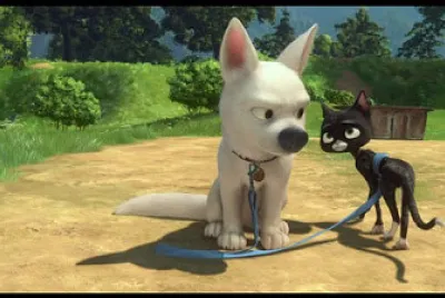 Bolt