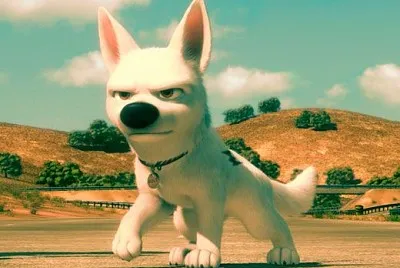 Bolt