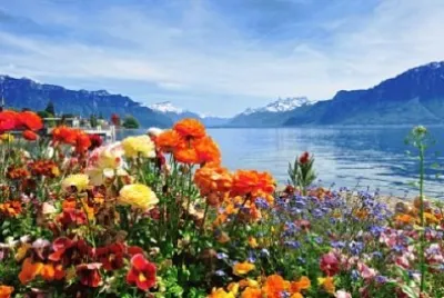 Foto jigsaw puzzle