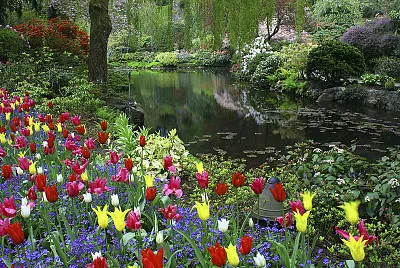 NATURALEZA VIVA