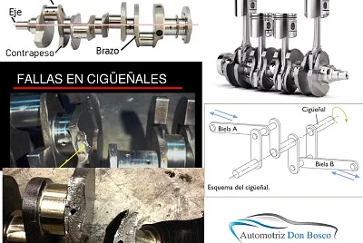 completar el rompecabezas del cigueÃ±al propuesto
