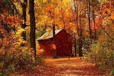 naturaleza