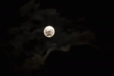  jigsaw puzzle
