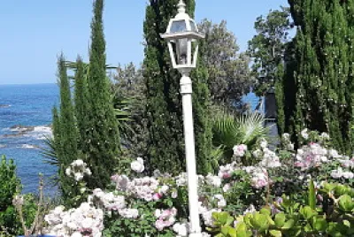 Jardin jigsaw puzzle