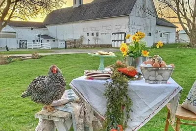 Country barn