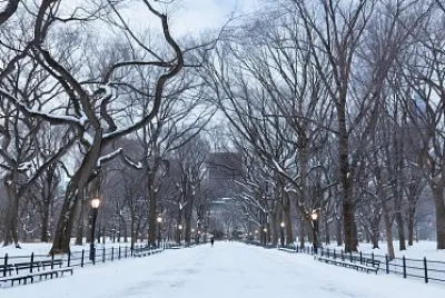 snowy day