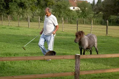 פאזל של 