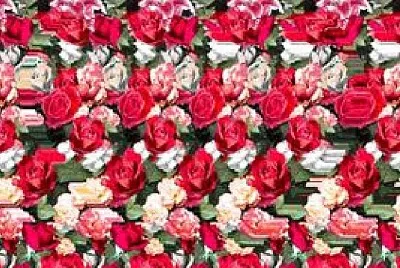 Foto jigsaw puzzle