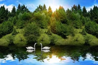 Foto