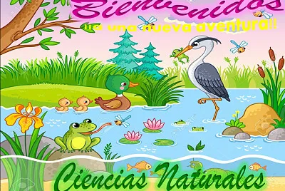 פאזל של Bienvenidos a clases