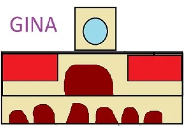 GINA