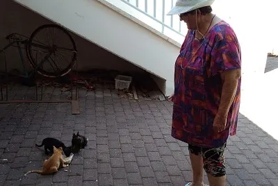 ×ž××›×™×œ×” 3 ×—×ª×•×œ×™× ×™×ª×•×ž×™×