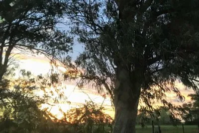 Amanecer en el campo