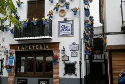 Las macetas de granada