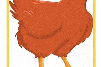GALINHA RUIVA