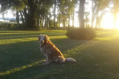 Atardecer en el campo