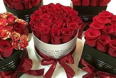 flores