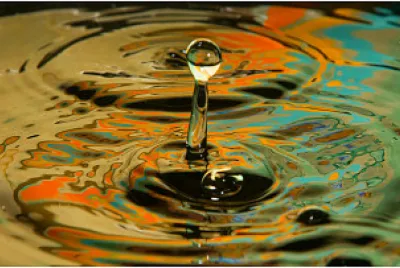 splash jigsaw puzzle