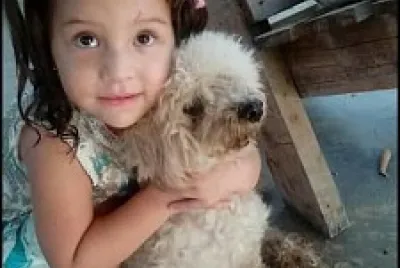 25-05-2020 jigsaw puzzle