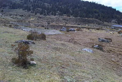 merida