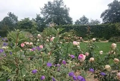 jardin