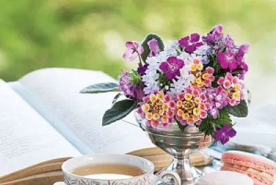 flores