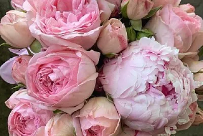 flores jigsaw puzzle