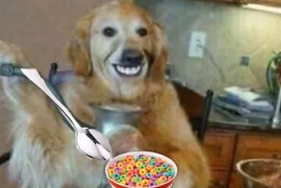 the dog that eats cereal with a spoon