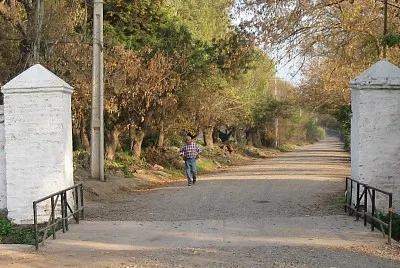 entrada maitenes Hijuelas