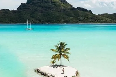 natural jigsaw puzzle