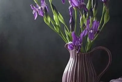 פאזל של flores