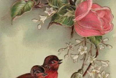 vida jigsaw puzzle