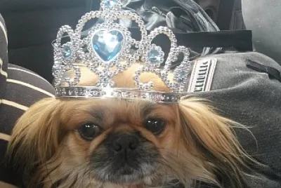 PequeÃ±a lyly