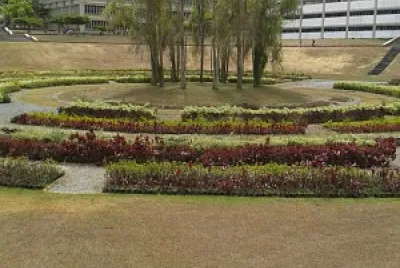 universidad