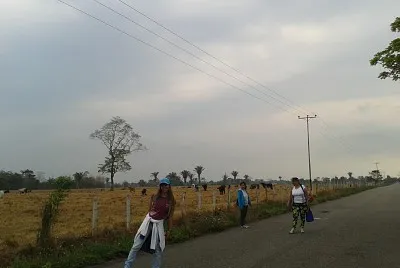 caminando