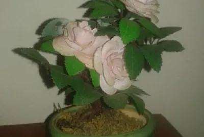 bonsay jigsaw puzzle