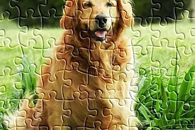 rompecabeza de perrito