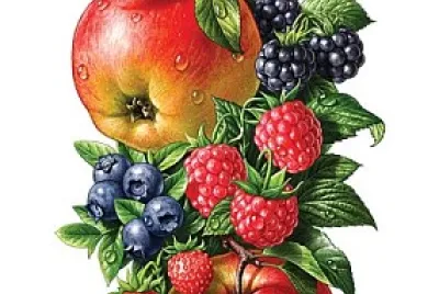 frutas jigsaw puzzle