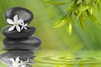 paz jigsaw puzzle
