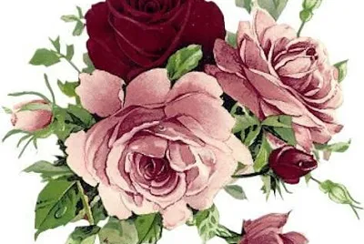 rosas jigsaw puzzle
