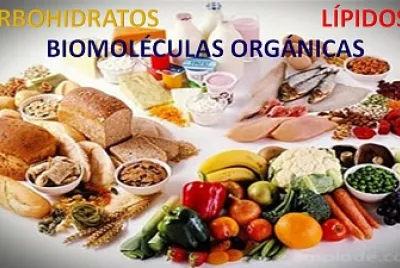 BIOMOLÃ‰CULAS ORGÃNICAS