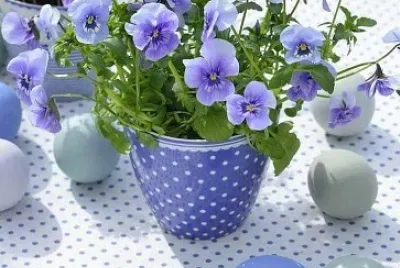 flores