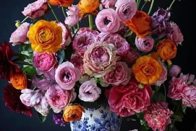 פאזל של flores
