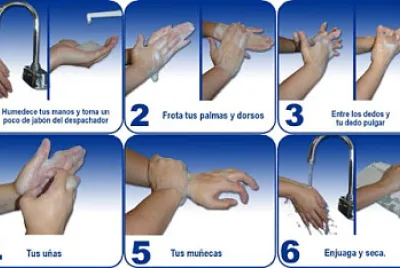 higiene y manipulacion