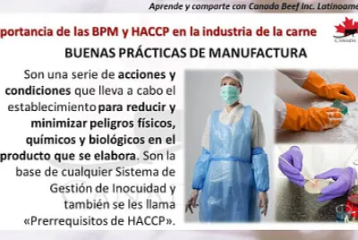 higiene y manipulacion