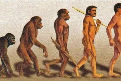 ORIGEN SER HUMANO